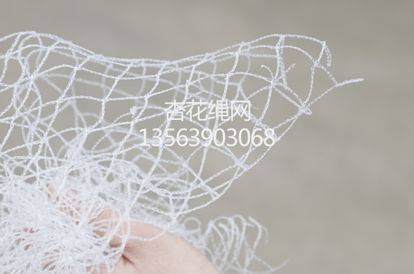防鸟网 